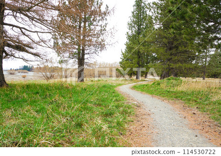 Scenery of a walking path in winter Scenery of a walking path in winter 114530722