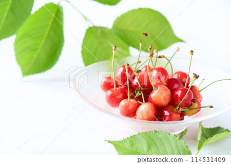 Cherries in a glass bowl: Sato Nishiki cherries from Yamagata Prefecture 114531409