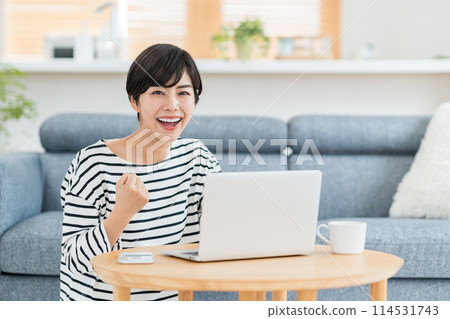 A woman using a computer in the living room. A woman using a computer in the living room. 114531743