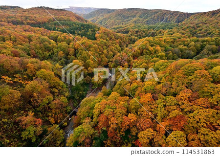 Autumn leaves at Jogakura, Mt. Hakkoda Autumn leaves at Jogakura, Mt. Hakkoda 114531863