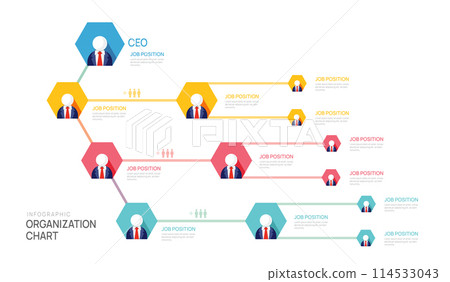 Infographic template for organization chart with business avatar icons. vector infographic for business. 114533043