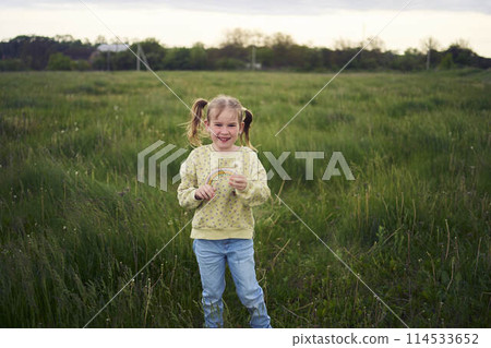 beautiful blonde sisters play with a dandelion in the field beautiful blonde sisters play with a dandelion in the field 114533652