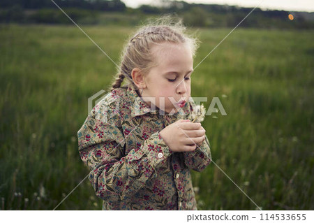beautiful blonde sisters play with a dandelion in the field 114533655