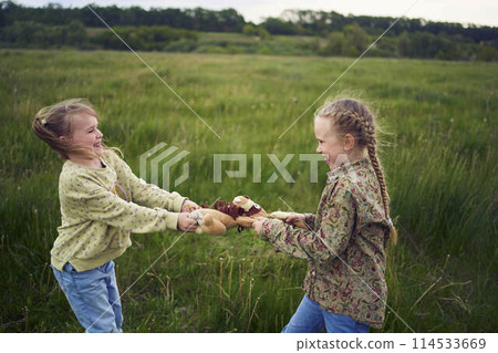 sisters fight over a toy bunny sisters fight over a toy bunny 114533669
