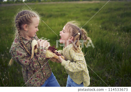 sisters fight over a toy bunny sisters fight over a toy bunny 114533673