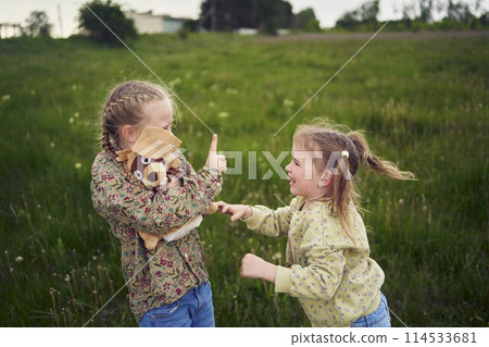 sisters fight over a toy bunny 114533681