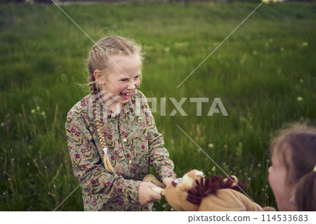 sisters fight over a toy bunny sisters fight over a toy bunny 114533683