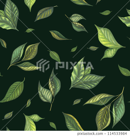 Watercolor lemon frame template border with full lemons branch with leaves, lime and yellow lemon. Hand painted fruits isolated on black background. Fresh citrus illustration for design, print, 114533984