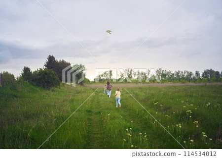 two little sisters and mother run and launch a kite in a field two little sisters and mother run and launch a kite in a field 114534012