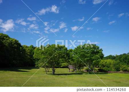 絢麗的新綠公園“四日市南部丘陵公園/南區” 114534268