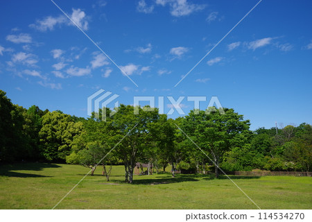 絢麗的新綠公園“四日市南部丘陵公園/南區” 114534270
