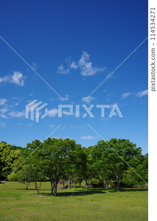 A park of vibrant new greenery: "Yokkaichi Southern Hillside Park South Zone" A park of vibrant new greenery: "Yokkaichi Southern Hillside Park South Zone" 114534271