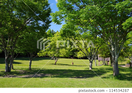 A park of vibrant new greenery: "Yokkaichi Southern Hillside Park South Zone" A park of vibrant new greenery: "Yokkaichi Southern Hillside Park South Zone" 114534287