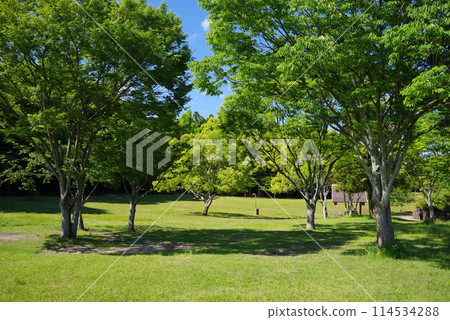 A park of vibrant new greenery: "Yokkaichi Southern Hillside Park South Zone" A park of vibrant new greenery: "Yokkaichi Southern Hillside Park South Zone" 114534288