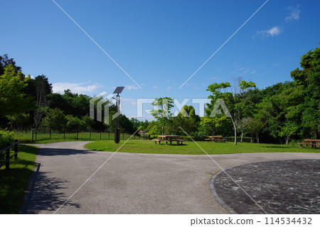 絢麗的新綠公園“四日市南部丘陵公園/南區” 絢麗的新綠公園“四日市南部丘陵公園/南區” 114534432