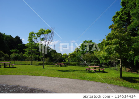 絢麗的新綠公園“四日市南部丘陵公園/南區” 絢麗的新綠公園“四日市南部丘陵公園/南區” 114534434