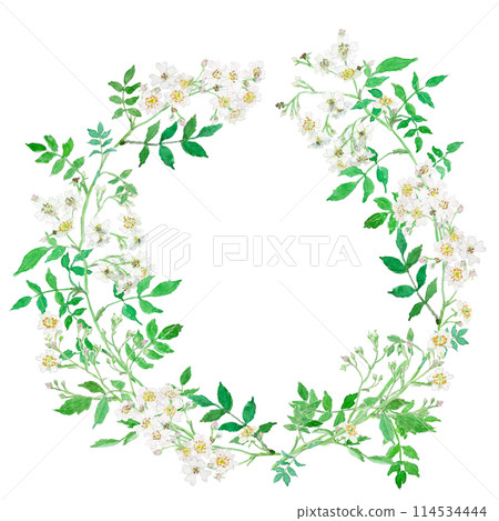 野玫瑰花環的水彩插圖 114534444