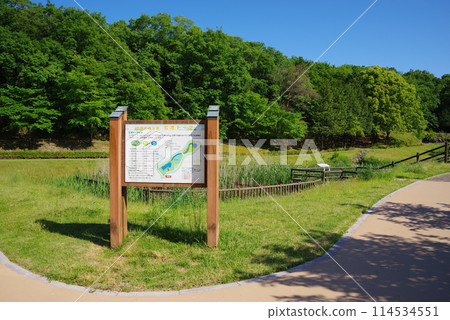 絢麗的新綠公園“四日市南部丘陵公園/南區/棲地” 114534551