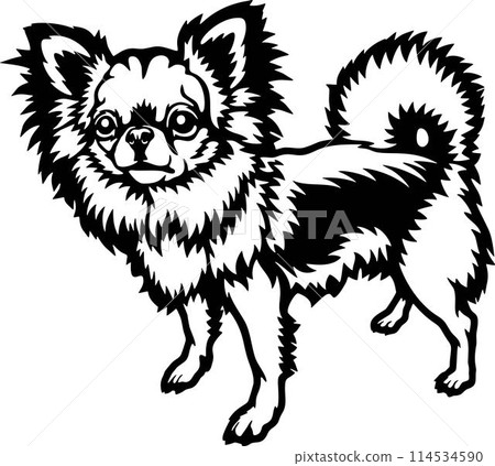 Funny Long Haired Chihuahua - Dog Breed, Funny dog Vector File, detailed vector 114534590