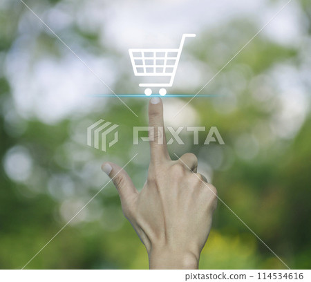 Business shopping online concept 114534616