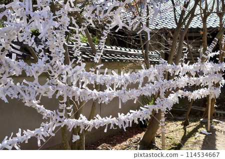 Omikuji Omikuji 114534667