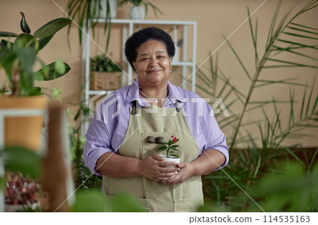 Waist up portrait of African American senior woman holding green plant and smiling at camera wearing apron while enjoying gardening indoors, copy space Waist up portrait of African American senior woman holding green plant and smiling at camera wearing apron while enjoying gardening indoors, copy space 114535163