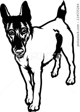 Funny Smooth-Haired Fox Terrier - Dog Breed, Funny dog Vector File, detailed vector Funny Smooth-Haired Fox Terrier - Dog Breed, Funny dog Vector File, detailed vector 114535264
