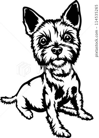 Funny Yorkshire Terrier - Dog Breed, Funny dog Vector File, detailed vector 114535265