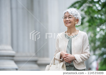 在鎮上散步的時尚高級女性 在鎮上散步的時尚高級女性 114535899