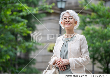 Gray-haired senior woman 114535906