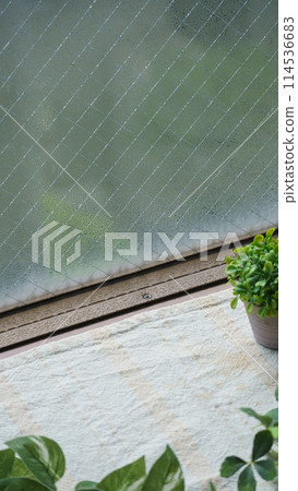 Condensation on the window 114536683