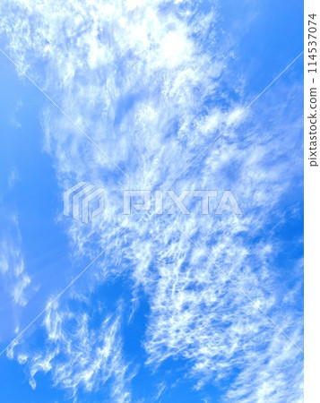 漂浮在藍天上的雲彩 114537074