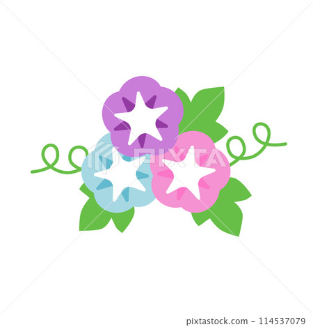 Vector illustration of morning glory Vector illustration of morning glory 114537079