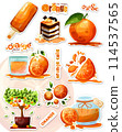 the vector colorful set of stickers with food from oranges and some text the vector colorful set of stickers with food from oranges and some text 114537565
