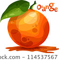 the isolated orange with a green leaf in bright orange colors in flat style the isolated orange with a green leaf in bright orange colors in flat style 114537567