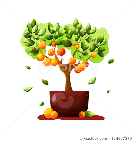 the isolated flat orange tree with many oranges fruit and leaves on the white background the isolated flat orange tree with many oranges fruit and leaves on the white background 114537570