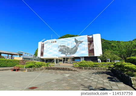 [Wakayama Prefecture] Taiji Whale Museum on a clear day 114537750