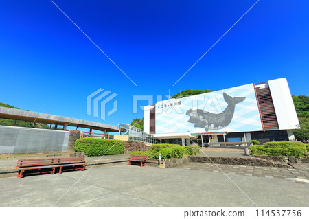 [和歌山縣] 陽光明媚的日子裡的太地町鯨魚博物館 114537756