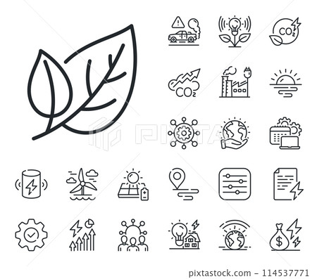 Nature plant leaf sign. Energy, Co2 exhaust and solar panel outline icons. Leaves line icon. Environmental care symbol. Leaf line sign. Eco electric or wind power icon. Green planet. Vector 114537771