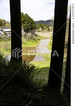 從山口俯視下面的稻田 從山口俯視下面的稻田 114537951