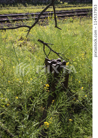 鄉村路線上廢棄的鐵路路段 114537953