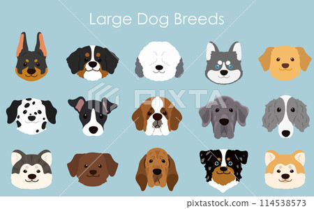 Simple and cute illustration set of large dog faces - no main lines 114538573