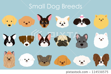 Simple and cute small dog face illustration set, no main lines 114538575