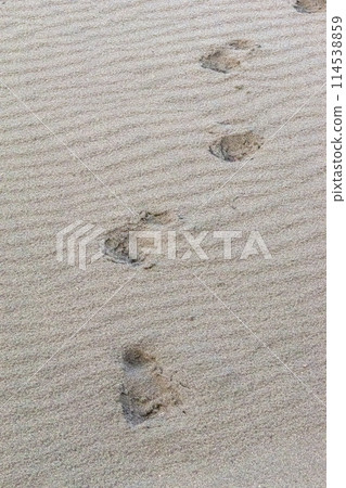 沙灘上留下的足跡 114538859