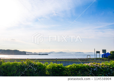 從江之島看到的風景 114538904