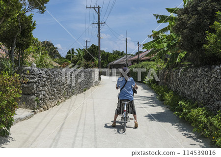 騎自行車穿越竹富島的傳統村莊 騎自行車穿越竹富島的傳統村莊 114539016