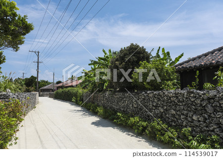 竹富島的村莊，保留傳統的紅瓦房屋 114539017