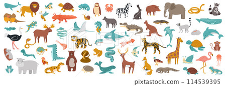 Big set of animals. Domestic and wild fauna. Cute characters as reptiles, birds, fish and mammals. Exotic flamingo 114539395