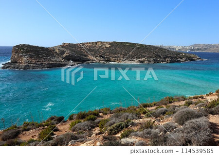Republic of Malta, Comino Island, Blue Lagoon Republic of Malta, Comino Island, Blue Lagoon 114539585