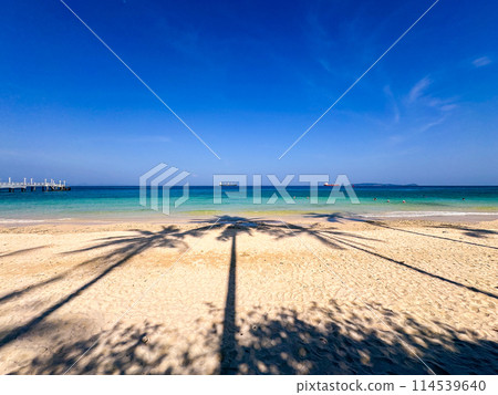 Aerial view of Panwa beach in Phuket, Thailand Aerial view of Panwa beach in Phuket, Thailand 114539640